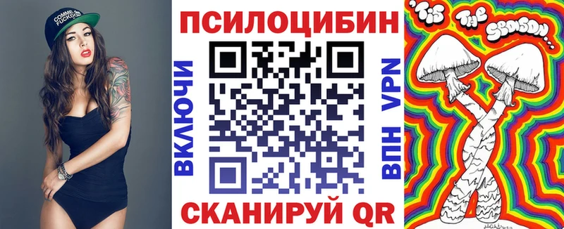 Псилоцибиновые грибы Psilocybe  где купить наркоту  Алапаевск 